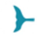 Pirani Life Coupon Codes